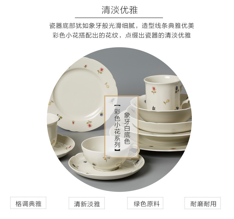 德国原产Seltmann Weiden陶瓷餐盘彩色小花系列