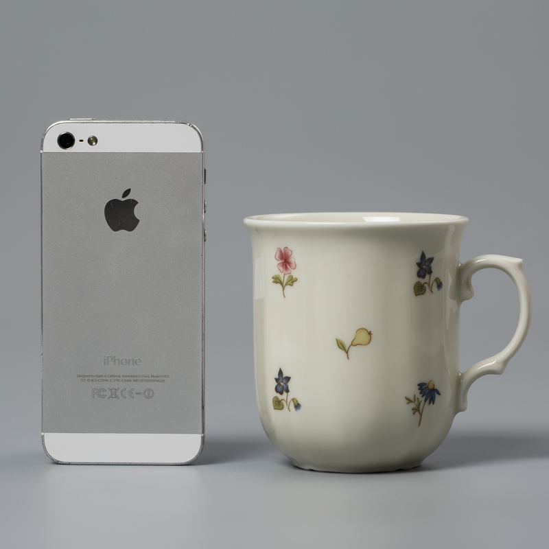 Seltmann Weiden陶瓷茶杯水杯咖啡杯 德国原产彩色小花250ml