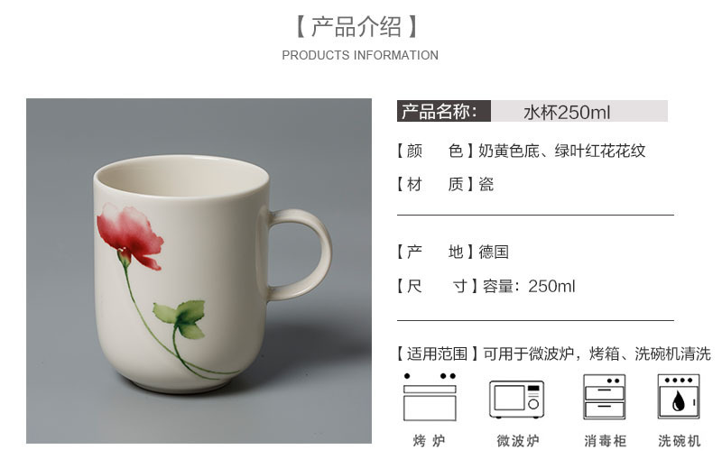 德国Seltmann Weiden陶瓷茶杯水杯绿叶红花系列产品介绍