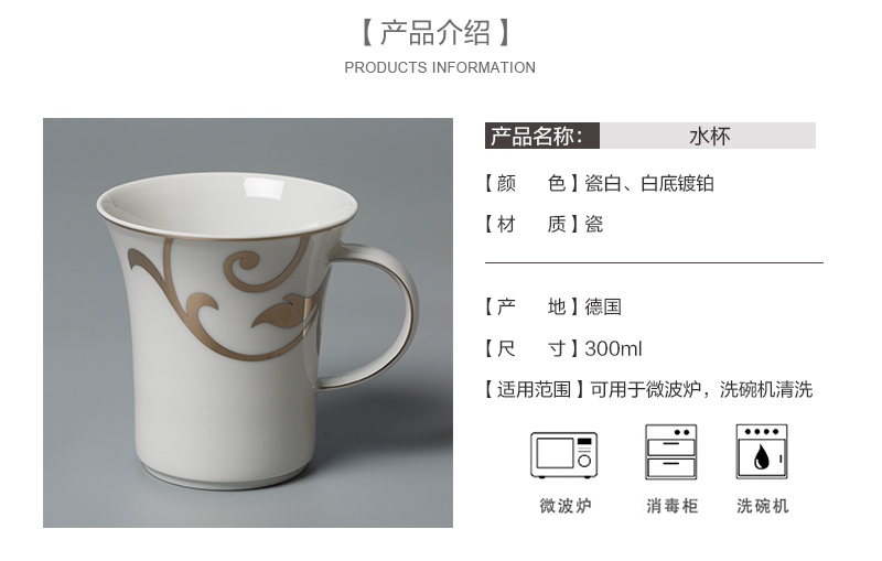 Seltmann Weiden铂金印花陶瓷水杯产品介绍