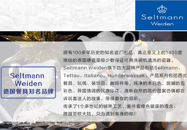 Seltmann Weiden德国餐具知名品牌