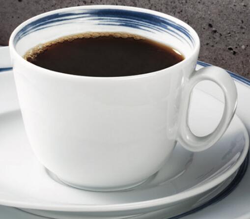 德国原产Seltmann Weiden咖啡杯 230ml瓷器餐具蓝描系列